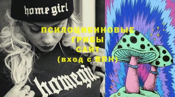 кокс Осташков