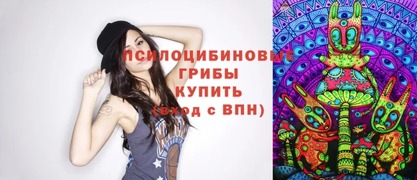 сатива Пересвет