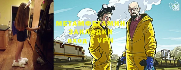 сатива Пересвет