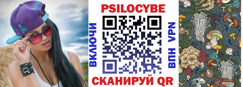 Купить  Липецк  Галлюциногенные грибы Cubensis 